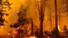 الطقس مستعر حول العالم..فلسطين تستعد لموجة حر طويلة