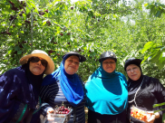  بالصور: أحباب الأقصى من يافا تُنظم رحلة ترفيهية الى شمال البلاد 