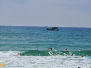 شاهد: مهما كنت سباحاً ماهراً عليك اتباع تعليمات السباحة الآمنة 