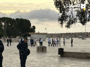 عشرات المستوطنين يقتحمون الأقصى ويؤدون رقصات استفزازية في المكان