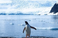 الحرارة المرتفعة تفكك أكبر "بؤرة جليدية" بالكرة الأرضية