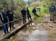  جولة لطلاب التكنولوجية تل ابيب "عمال 1" في واحة السلام 