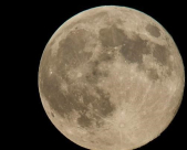 حدث نادر مطلع عام 2019