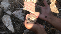 فيديو: هذا ما تم العثور عليه أثناء حملة تنظيف مقبرة "الشيخ مراد" بيافا