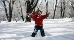 عالم روسي: الأرض بانتظار موجة برد تدوم 30 عاما