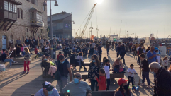  فيديو: رغم منع التجمعات بسبب كورونا - ميناء يافا يكتّظ بالنزلاء 