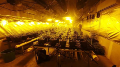 ضبط مختبر مخدرات في قلنسوة واعتقال مشتبهيْن من يافا