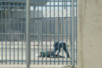  اصابة فلسطينية بنيران الجيش الاسرائيلي شمال القدس