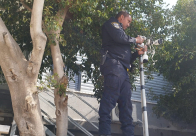  اللد: الشرطة تزيل 100 كاميرا مراقبة وتعتقل 6 شبان