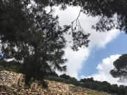 الطقس: انخفاض على درجات الحرارة الأيام المقبلة