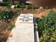 عاشت كيهودية وماتت كمسلمة ودفنت في مقبرة طاسو بيافا