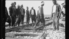 مدينة اللد محور "معرض المدن" بمهرجان قلنديا الدولي