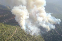 النيران تلتهم 900 دونم من جبال القدس