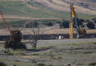 فيديو: كيف تسلل أربعة شبان عبر السياج الفاصل بغزة وكادوا يحرقون آلية إسرائيلية
