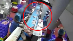 الشرطة: انتهاء التحقيقات بجريمة قتل داخل معمل دواجن باللد وتصريح مدع ضد قاصر من رهط