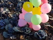  اسرائيل تتوعد حماس برد مدمر بسبب البالونات الحارقة