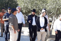 خلع غراس زيتون- مستوطنون يقتحمون الاقصى المبارك 