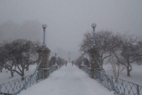 مصرع 9 أشخاص جراء عاصفة ثلجية في الولايات المتحدة