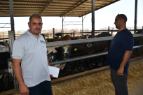 فيديو: جمعية يافا "حملة جمع الإشتراكات لمشروع الأضاحي مستمرة حتى تاريخ 3.8"