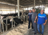  الذبح أول أيام العيد - جمعية يافا تُعلن عن تفاصيل مشروع الاضاحي لهذا العام