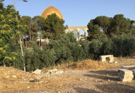 اهال من القدس: هدم مقاعد حجرية واقتلاع اشجار في منطقة "تل باب الرحمة"