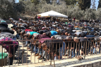   اكثر من 40 الف مصلٍ يؤدون صلاة الجمعة في الأقصى ومصلى الرحمة