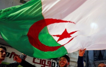 الجزائر تنتصر وتحتفل وتترقب القادم