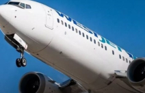 اسرائيل وامريكا تمنعان تحليق طائرات "بوينج ماكس"