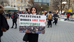  بالفيديو: مواطنة من يافا تشارك في تظاهرة نصرة لأهالي غزة في نيويورك 