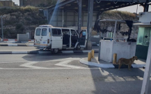 مصادر: طعن جندي واطلاق نار على المنفذ