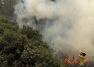 فرق الإطفاء و6 طائرات تحاول اخماد حرائق في بيت شيمش