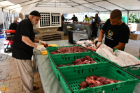 جمعية يافا تُنجز المرحلة الثالثة لمشروع الأضاحي 