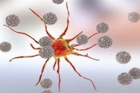 فاكهة تساهم في خفض الكوليسترول