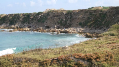 صور نادرة من الذاكرة اليافية لمخلفات نكبة عام 1948 