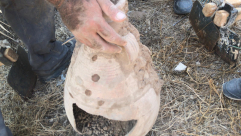  العثور على جرار فخارية يعود تاريخها لأكثر من 100 عام في مقبرة الشيخ مراد