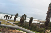 شاهد: الأجواء العاصفة على شاطئ بحر يافا 