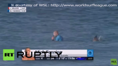 فيديو: سمكة قرش تهاجم بطل العالم لركوب الأمواج