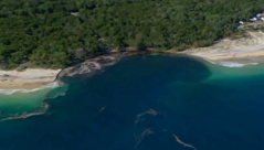 نشوء حفرة كبيرة على شاطئ استرالي (فيديو)