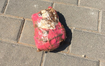  بالفيديو: العثور على أعمال سحر وشعّوذة في مقبرة طاسو بمدينة يافا 