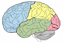  غالبية البشر لا يريدون معرفة ما يخبئه المستقبل