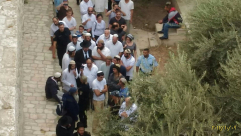  مستوطنون يقتحمون المسجد الأقصى تحت حراسة أمنية مشددة