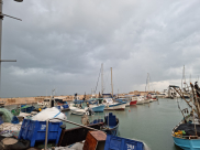  الطقس: أمطار غزيرة مصحوبة بين الفينة والأخرى بعواصف رعدية وبرق