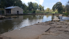  شاهد: لقطات وصور مميزة من محطة الجريشة على ضفاف نهر العوجا 