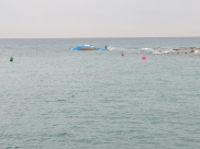  فيديو: المركب ما زال عالقاً في الصخور بمدخل ميناء يافا ومحاولات مستمرة لسحبه