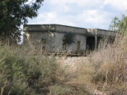 تعرّف على قرية "النعاني" المهجّرة قضاء الرملة 