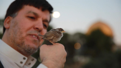 فيديو: د. رائد فتحي: المقدسيون يفشلون مخططات الاحتلال بباب الرحمة