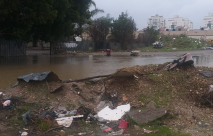  فيديو: سكان حي جان حكال بالرملة يطالبون البلدية بترميم الشارع وازالة النفايات