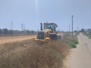  بالفيديو: تنظيف وتجهيز مقبرة طاسو في يافا قبيل حلول عيد الفطر 