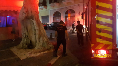  فيديو: اندلاع النيران داخل شجرة معمّرة بيافا دون معرفة الاسباب 