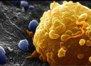 12 خطوة لتجنب الإصابة بالسرطان